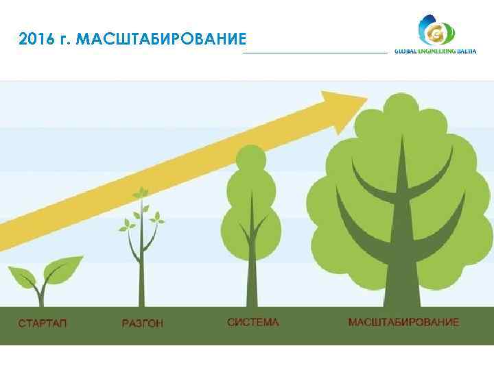 2016 г. МАСШТАБИРОВАНИЕ 