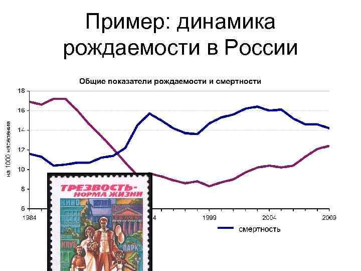 Основы демографии