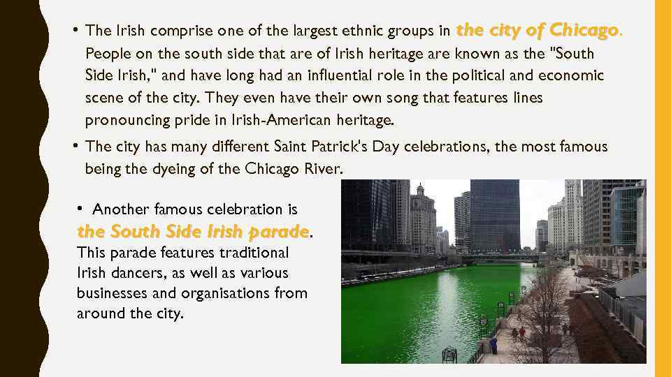  • The Irish comprise one of the largest ethnic groups in the city