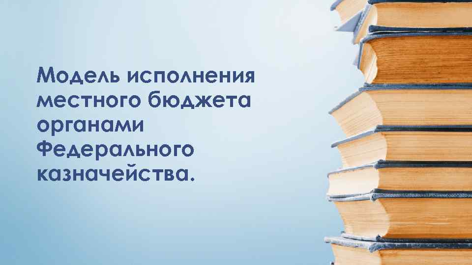 Модель исполнения местного бюджета органами Федерального казначейства. 