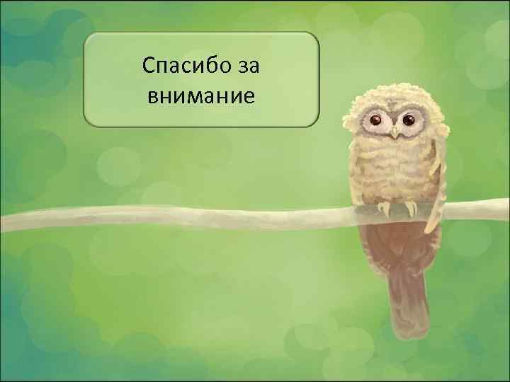 Спасибо за внимание 