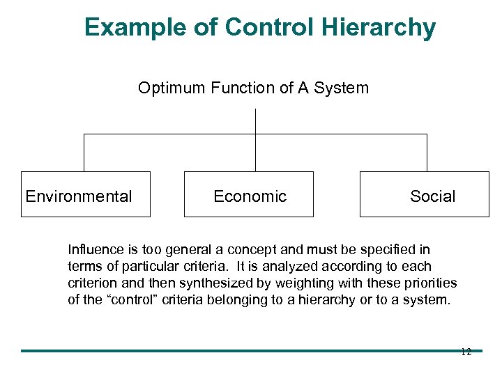 Example of Control Hierarchy Optimum Function of A System Environmental Economic Social Influence is