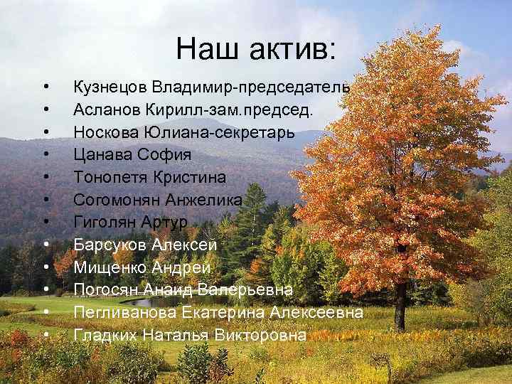 Наш актив: • • • Кузнецов Владимир-председатель Асланов Кирилл-зам. председ. Носкова Юлиана-секретарь Цанава София