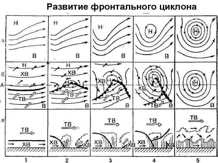 Развитие фронтального циклона 2 3 4 5 