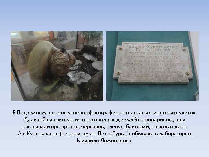 В Подземном царстве успели сфотографировать только гигантских улиток. Дальнейшая экскурсия проходила под землёй с