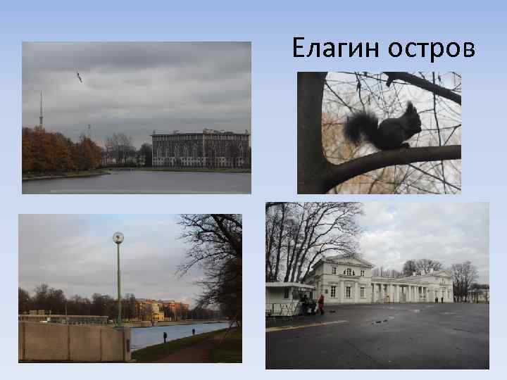 Елагин остров 