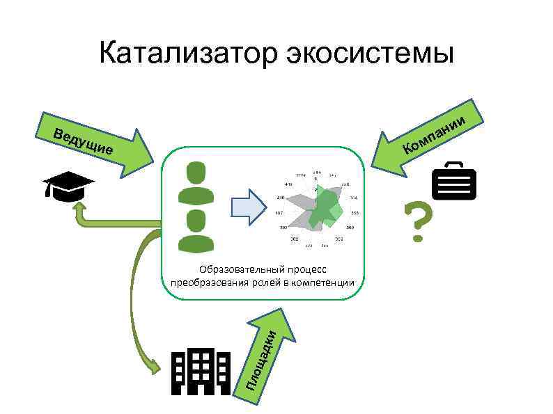 Катализатор экосистемы и ни па м Ко Вед ущи е ? Пло щад ки