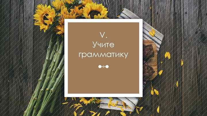 V. Учите грамматику 