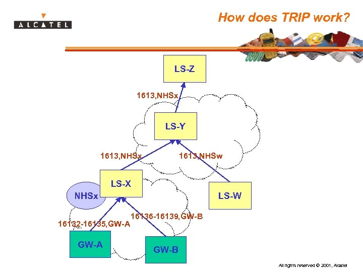 How does TRIP work? LS-Z 1613, NHSx LS-Y 1613, NHSx 1613, NHSw LS-X LS-W