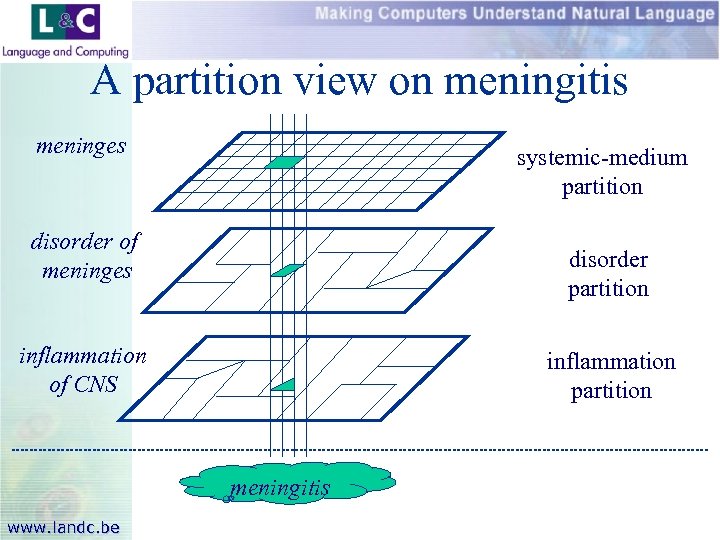 A partition view on meningitis meninges systemic-medium partition disorder of meninges disorder partition inflammation
