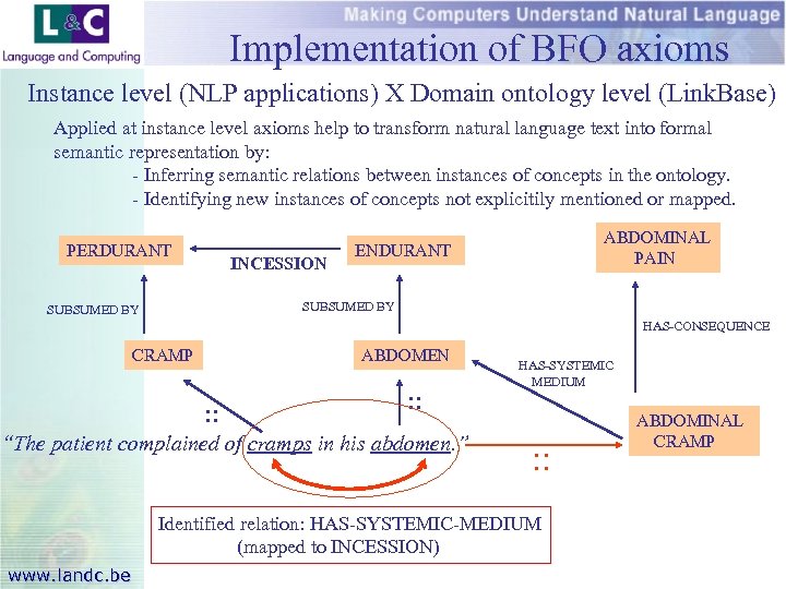 Implementation of BFO axioms Instance level (NLP applications) X Domain ontology level (Link. Base)