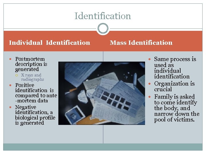 Identification Individual Identification Postmortem description is generated X rays and radiographs Positive identification is