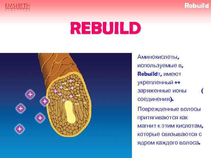 Rebuild REBUILD Аминокислоты, используемые в, Rebuildт, имеют укрепленный ++ заряженные ионы соединения). ( Поврежденные