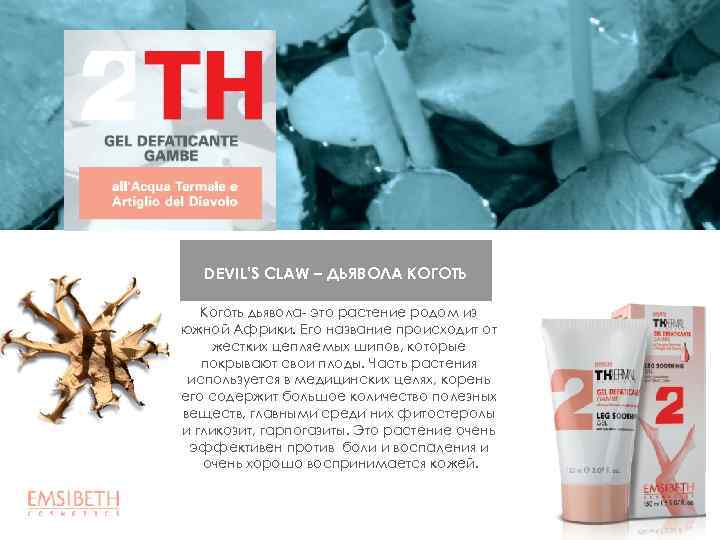 DEVIL’S CLAW – ДЬЯВОЛА КОГОТЬ Коготь дьявола- это растение родом из южной Африки. Его