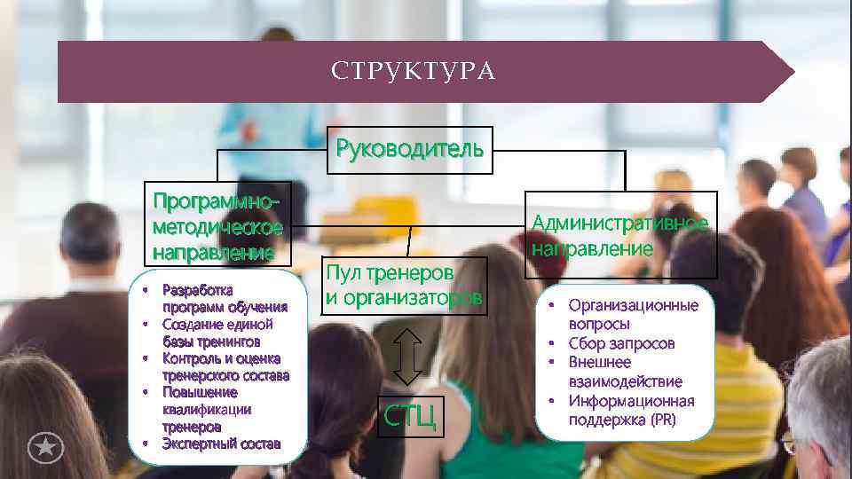 СТРУКТУРА Руководитель Программнометодическое направление • Разработка программ обучения • Создание единой базы тренингов •