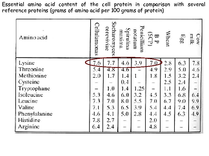Essential amino acid content of the cell protein in comparison with several reference proteins