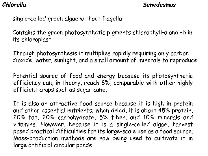 Chlorella Senedesmus single-celled green algae without flagella Contains the green photosynthetic pigments chlorophyll-a and