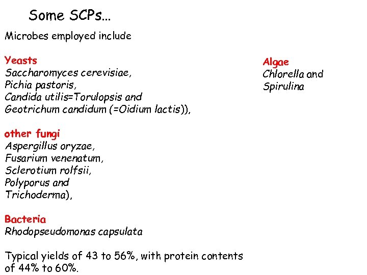 Some SCPs… Microbes employed include Yeasts Saccharomyces cerevisiae, Pichia pastoris, Candida utilis=Torulopsis and Geotrichum