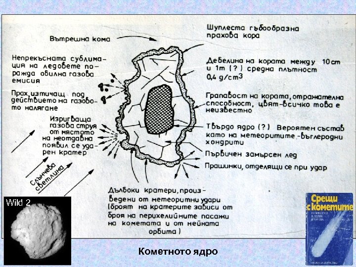 Wild 2 Кометното ядро 