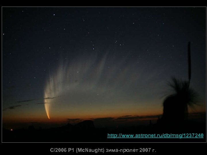 http: //www. astronet. ru/db/msg/1237240 C/2006 P 1 (Mc. Naught) зима-пролет 2007 г. 