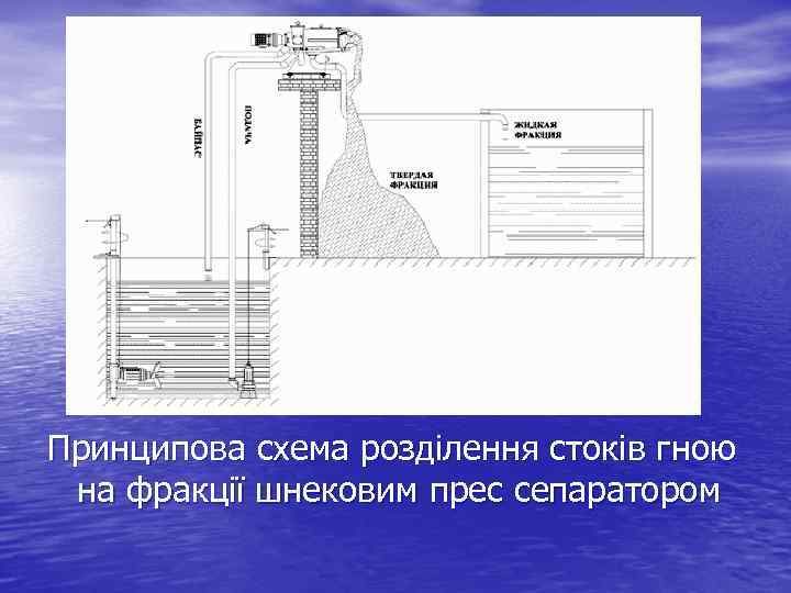 Принципова схема розділення стоків гною на фракції шнековим прес сепаратором 