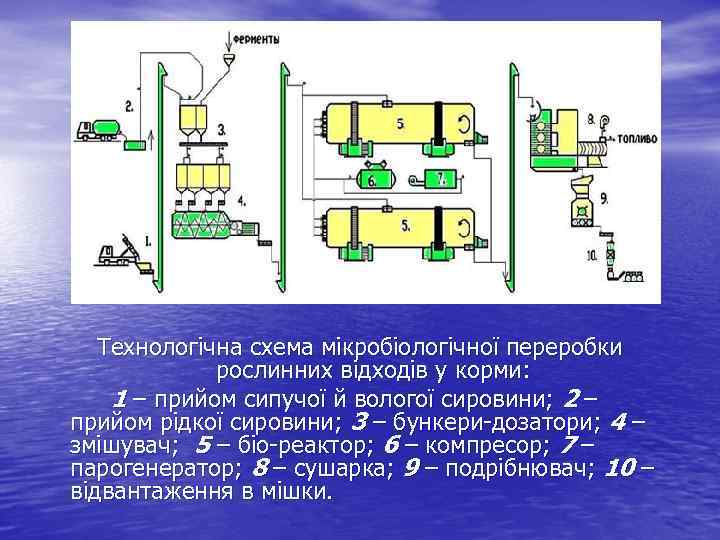 Технологічна схема мікробіологічної переробки рослинних відходів у корми: 1 – прийом сипучої й вологої