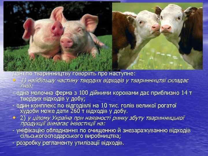 Дані по тваринництву говорять про наступне: • 1) найбільшу частину твердих відходів у тваринництві