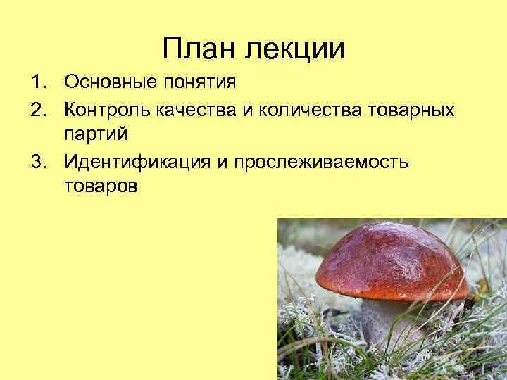 План лекции 1. Основные понятия 2. Контроль качества и количества товарных партий 3. Идентификация