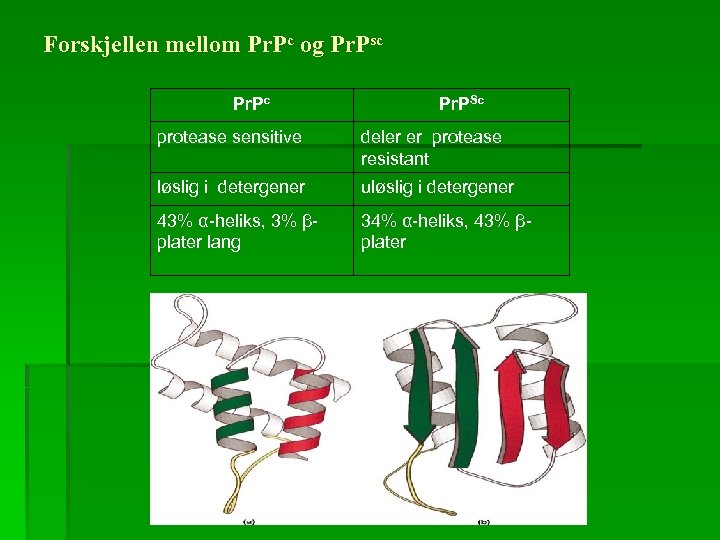 Forskjellen mellom Pr. Pc og Pr. Psc Pr. PSc protease sensitive deler er protease