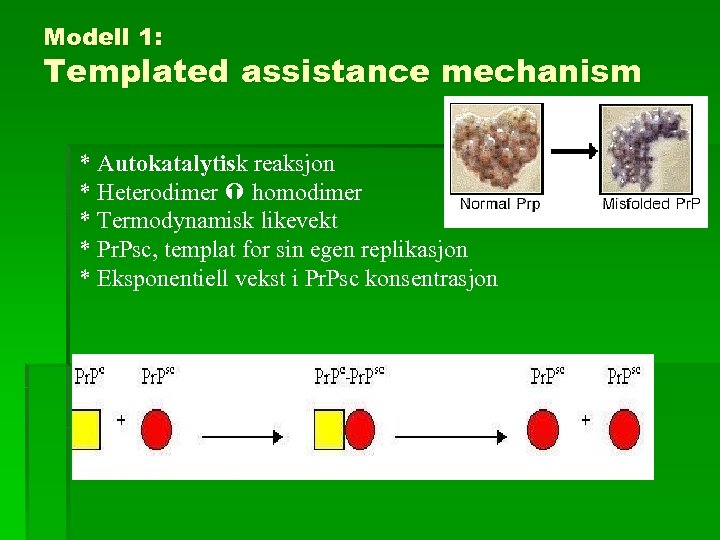 Modell 1: Templated assistance mechanism * Autokatalytisk reaksjon * Heterodimer homodimer * Termodynamisk likevekt