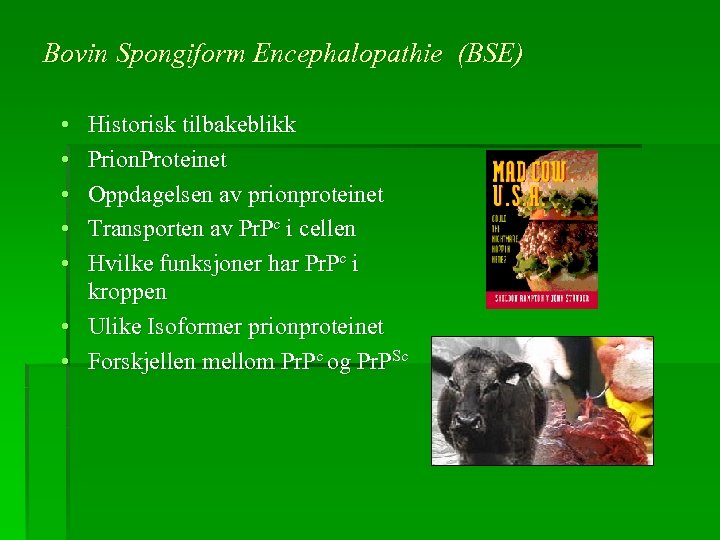 Bovin Spongiform Encephalopathie (BSE) • • • Historisk tilbakeblikk Prion. Proteinet Oppdagelsen av prionproteinet