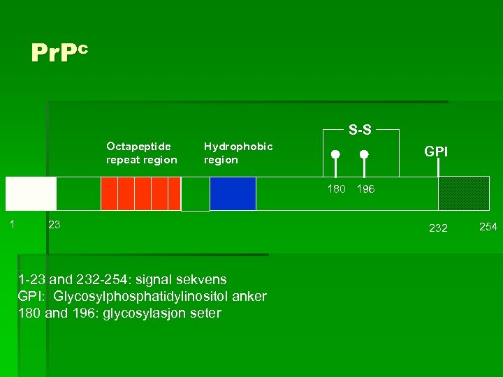 Pr. Pc S-S Octapeptide repeat region Hydrophobic region GPI 180 196 1 23 1