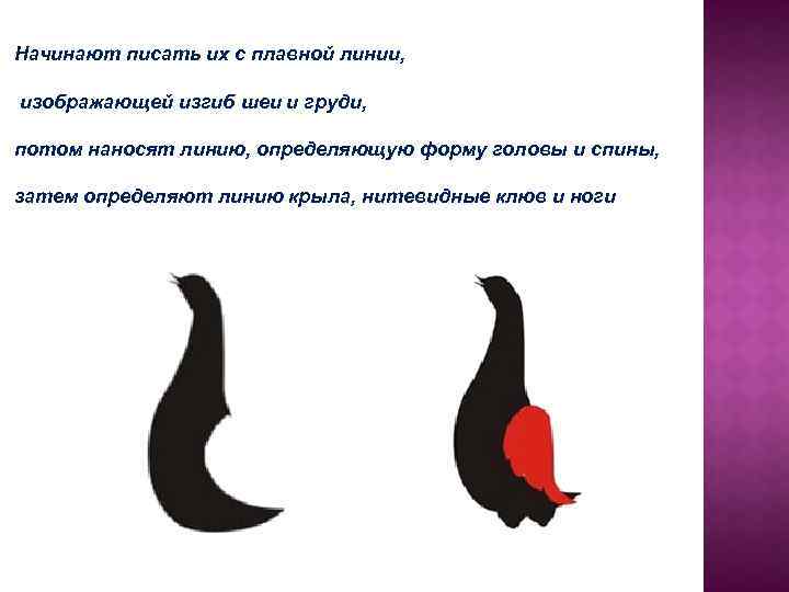 Начинают писать их с плавной линии, изображающей изгиб шеи и груди, потом наносят линию,