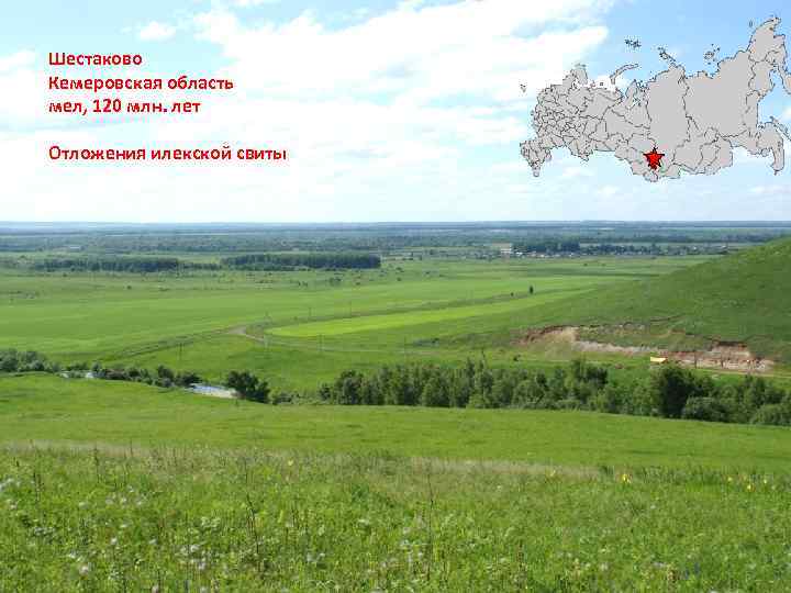 Шестаково Кемеровская область мел, 120 млн. лет Отложения илекской свиты 