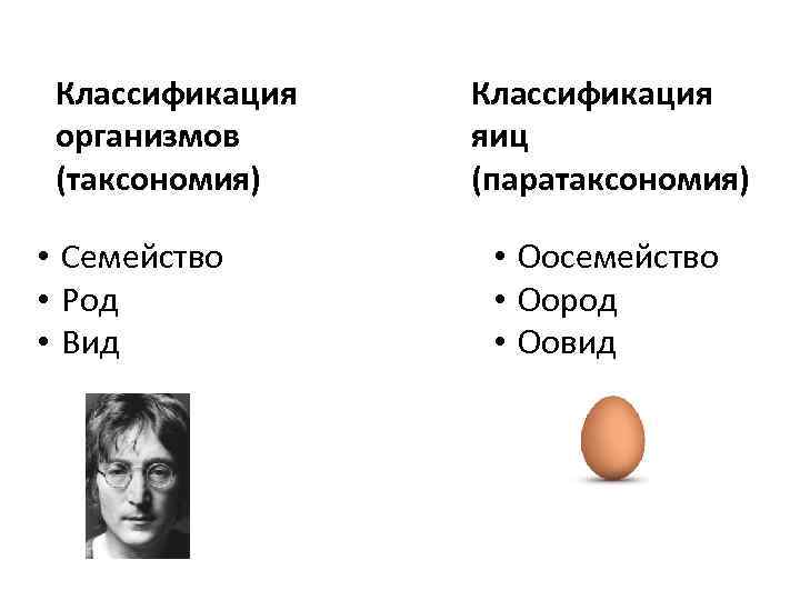 Классификация организмов (таксономия) • Семейство • Род • Вид Классификация яиц (паратаксономия) • Оосемейство