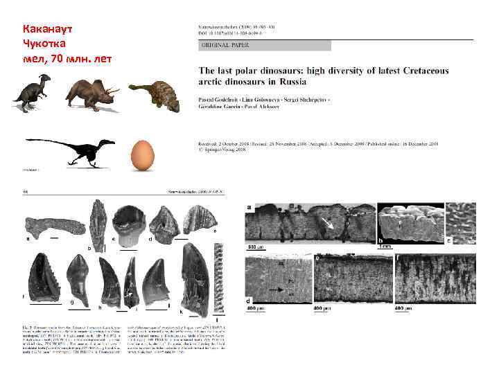 Каканаут Чукотка мел, 70 млн. лет 