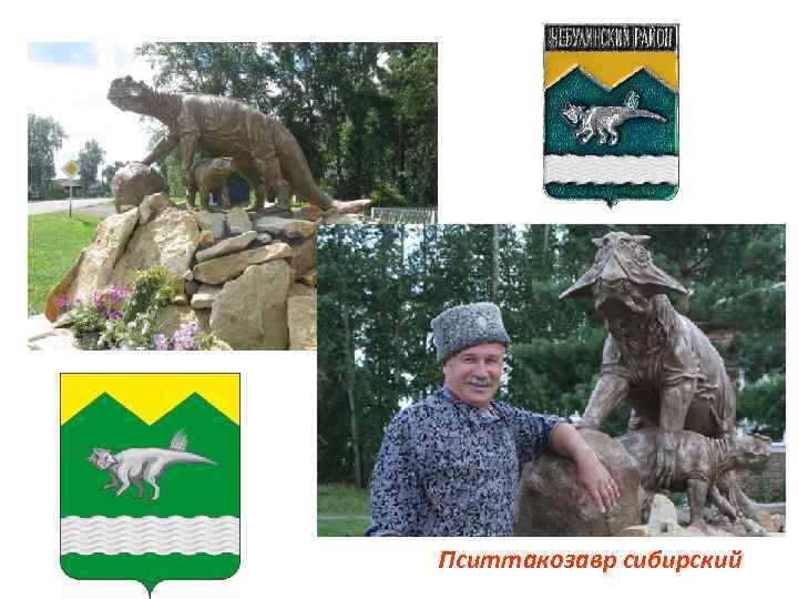 Пситтакозавр сибирский 