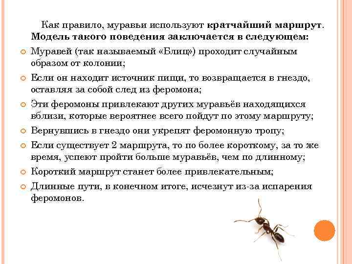 Как правило, муравьи используют кратчайший маршрут. Модель такого поведения заключается в следующем: Муравей (так