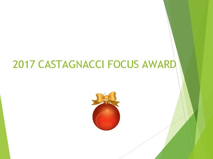 2017 CASTAGNACCI FOCUS AWARD 