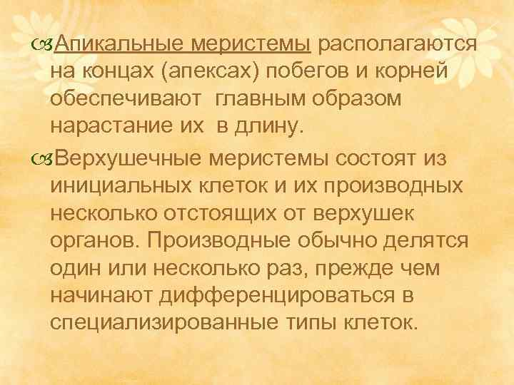  Апикальные меристемы располагаются на концах (апексах) побегов и корней обеспечивают главным образом нарастание