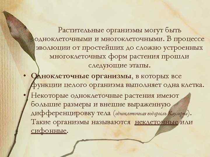Растительные организмы могут быть одноклеточными и многоклеточными. В процессе эволюции от простейших до сложно