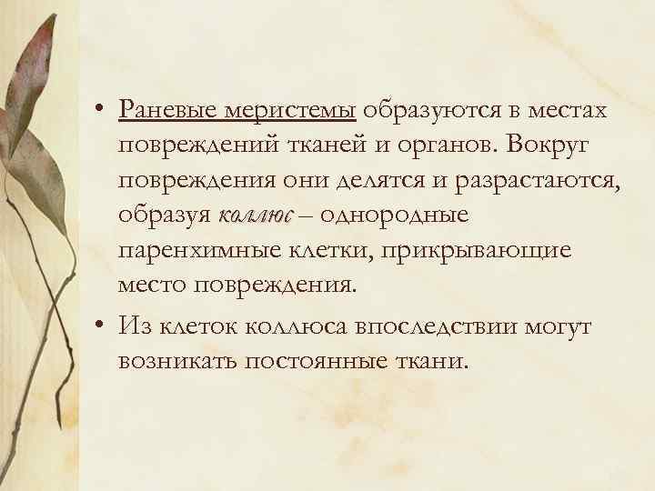  • Раневые меристемы образуются в местах повреждений тканей и органов. Вокруг повреждения они