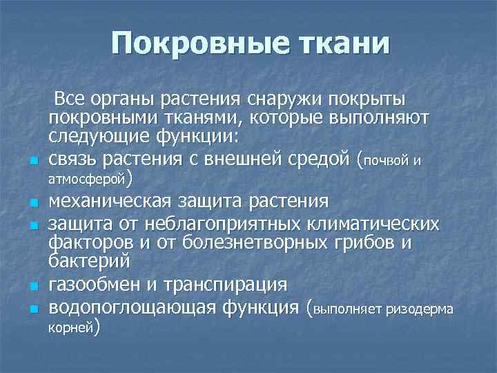 Покровные ткани n n n Все органы растения снаружи покрыты покровными тканями, которые выполняют