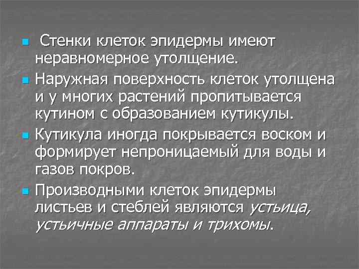 n n Стенки клеток эпидермы имеют неравномерное утолщение. Наружная поверхность клеток утолщена и у