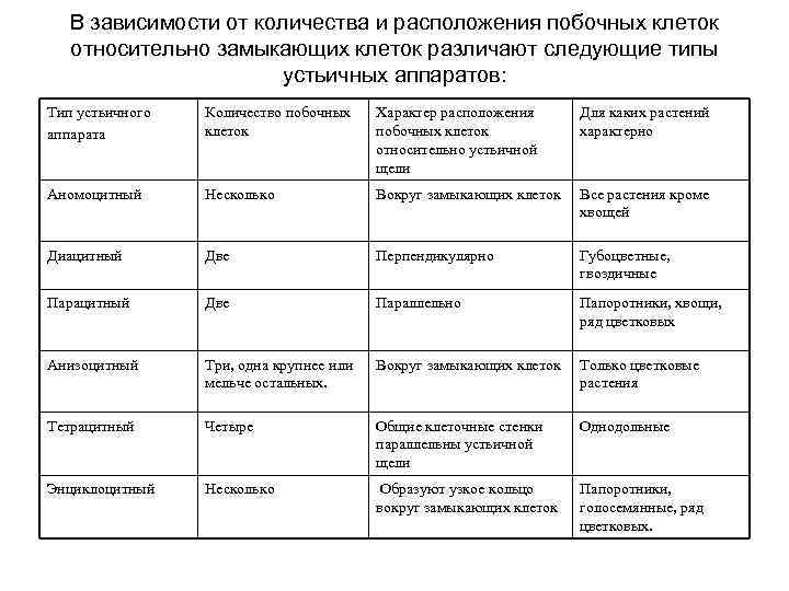 В зависимости от количества и расположения побочных клеток относительно замыкающих клеток различают следующие типы