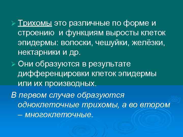 Ø Трихомы это различные по форме и строению и функциям выросты клеток эпидермы: волоски,