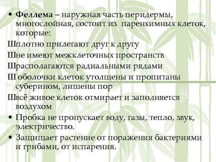  • Феллема – наружная часть перидермы, многослойная, состоит из паренхимных клеток, которые: Шплотно