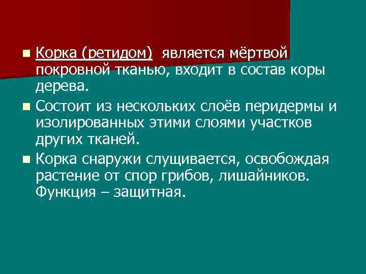 Корка (ретидом) является мёртвой покровной тканью, входит в состав коры дерева. n Состоит из