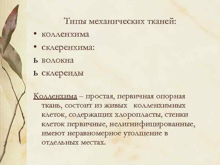 • • ь ь Типы механических тканей: колленхима склеренхима: волокна склереиды Колленхима –