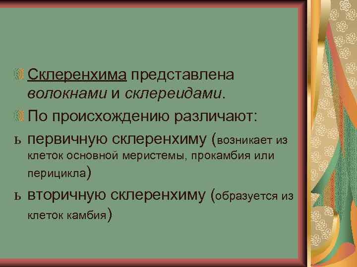 Склеренхима представлена волокнами и склереидами. По происхождению различают: ь первичную склеренхиму (возникает из клеток